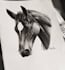 draw hyper realistic animal drawing
