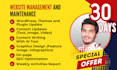 provide website management and maintenance service