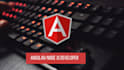 develop an angular web application or angular website