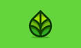 design logo for your business with unlimited revisions