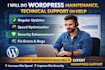 do wordpress maintenance, technical support or help