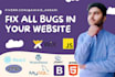 do revision and fix any bug  in your website