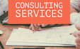 provide expert consulting services virtually