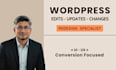 do wordpress changes, edits, customize and update wordpress website