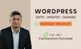 do wordpress changes, edits, customize and update wordpress website