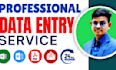do data entry, copy paste, data scraping, email leads, pdf to excel data