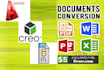 convert pdf,word,excel,stl,jpeg,any type of file conversion