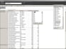 do any kind of customized software and website development