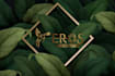 create a stunning logo and its animation