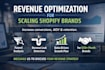 create a revenue optimisation strategy for scaling shopify brands