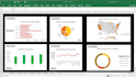 build professional excel dashboards, pivot table, and charts