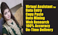 do data entry, web research, excel data entry, typing, copy paste