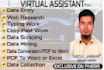 do fastest excel data entry, data entry, web research, copy past and typing