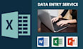 do fastest excel data entry, web research, copy paste