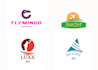 create 2 proffesional logo for your business
