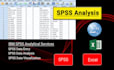 do any statistical data analysis with spss, excel
