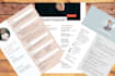 write linkedin profile and professional resumes