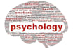 write physicology research and summaries