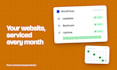 maintain, secure and monitor your wordpress or shopify site every month
