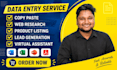 do data entry, excel data entry, copy paste, web research and product listing