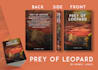 provide impressive book cover and album cover design