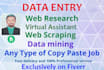 do fastest data entry in one day