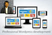 build responsive  wordpress website or ecommerce site