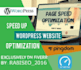 do speed optimization with gtmetrix pagespeed in 12hr