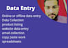 data entry, copy paste, web research, excel data entry