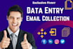 do fastest quality data entry excel work