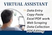 do data entry in word press job for 2 hours