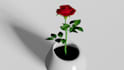 create 3d  realistic of plants and flowers