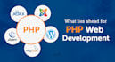 develop or fix bug on your PHP,laravel,wordpress website
