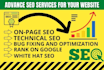 do on page and technical SEO optimization on your website