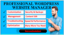 manage, maintain, keep your wordpress website updated and edit it