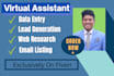 be your virtual assistant for excel data entry, typing, web research, copy paste
