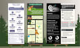 design a professional infographic for ngos and organizations
