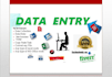 fast data entry worker