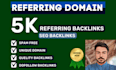 build 5k unique referring domain SEO backlinks