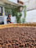 provide indonesian coffee beans