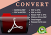 do PDF conversion in 24 hours