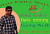 do data entry copy paste work