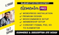 design premium elementor website in wordpress