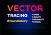 redo,redraw,remake,edit,resize,recreate logo in vector