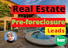 provide real estate pre foreclosure and auction leads with skip tracing