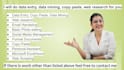 do data entry, copy paste, web research and excel data entry