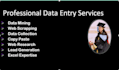 do excel data entry  data mining web scraping lead generation