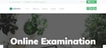 design modern web designing and development
