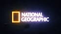 design custom 4k neon logo animation neon light sign, neon intro video for you