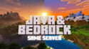 setup a minecraft java and bedrock server